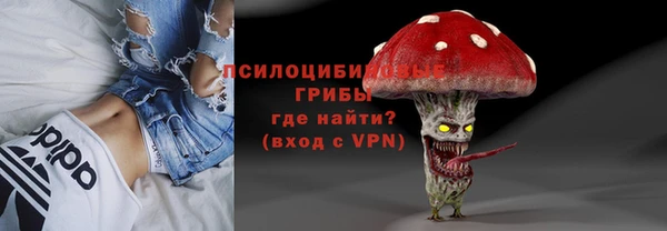 трава Медвежьегорск