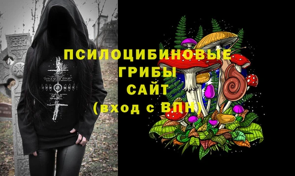 трава Медвежьегорск