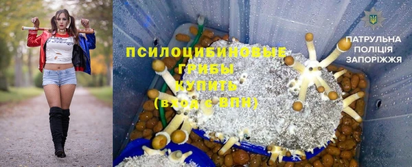 Альфа ПВП Мегион