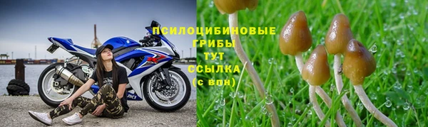 MDMA Premium VHQ Михайловск