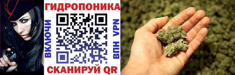 Канабис план Ессентуки